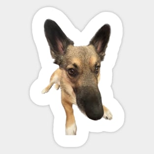 HOGAN Dog Sticker